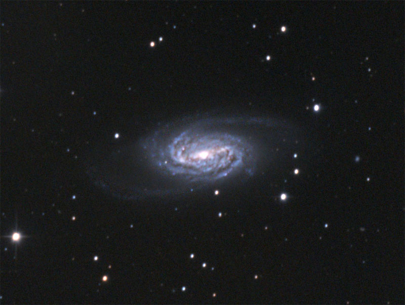 thumb_1268175259_NGC2903_crop_800.jpg