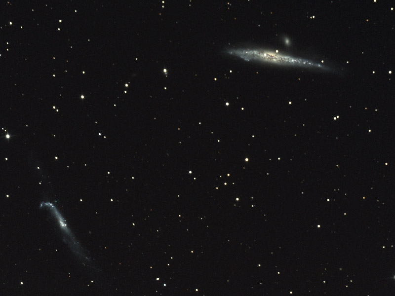 thumb_1299164434_NGC4656_NGC4631_crop_800.jpg
