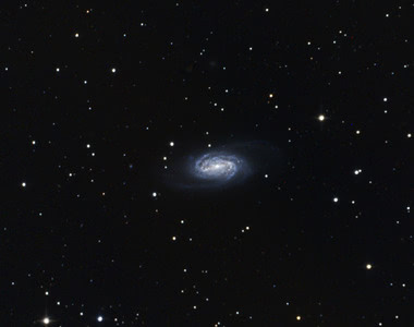 thumb_1299679260_NGC2903_crop_800.jpg